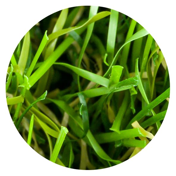 Vigormat Prato Giardino Erba Sintetica Europea (Kit Campioni)