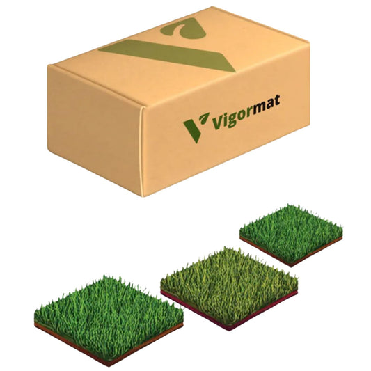 Vigormat Prato Giardino Erba Sintetica Europea (Kit Campioni)