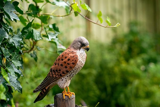DecoBird Gheppio Wildlife Garden